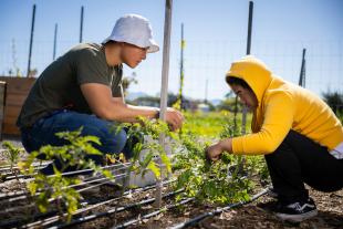 A Cal Poly student, left, kneels down to pick kale with a high school student in a garden. 