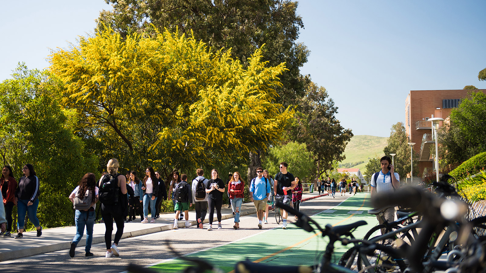cal poly tours for admitted students