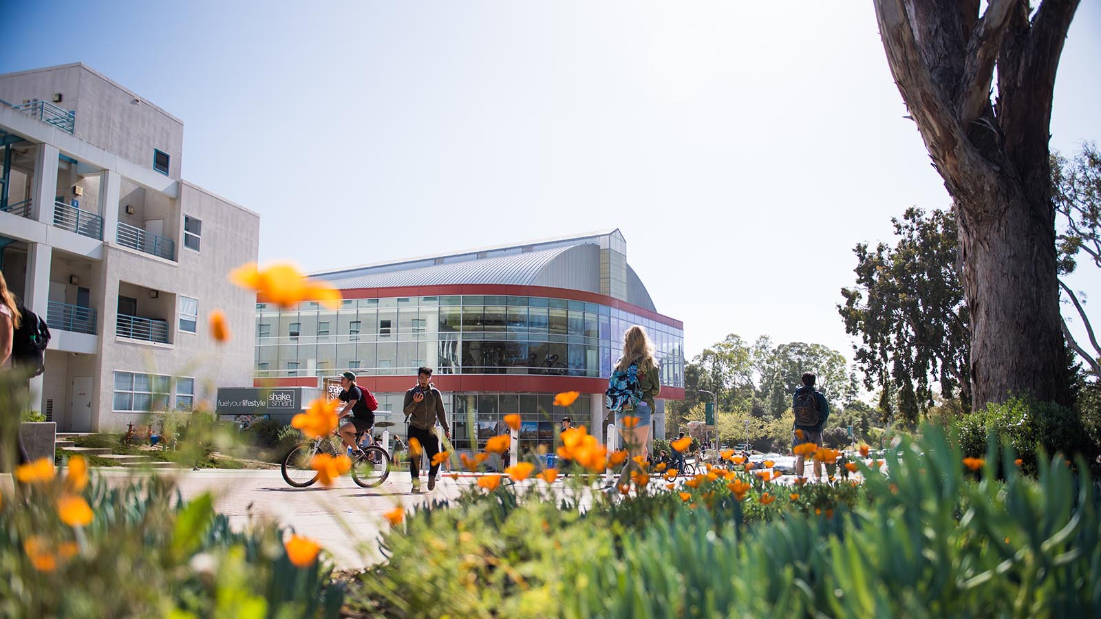 cal poly pomona self guided tours