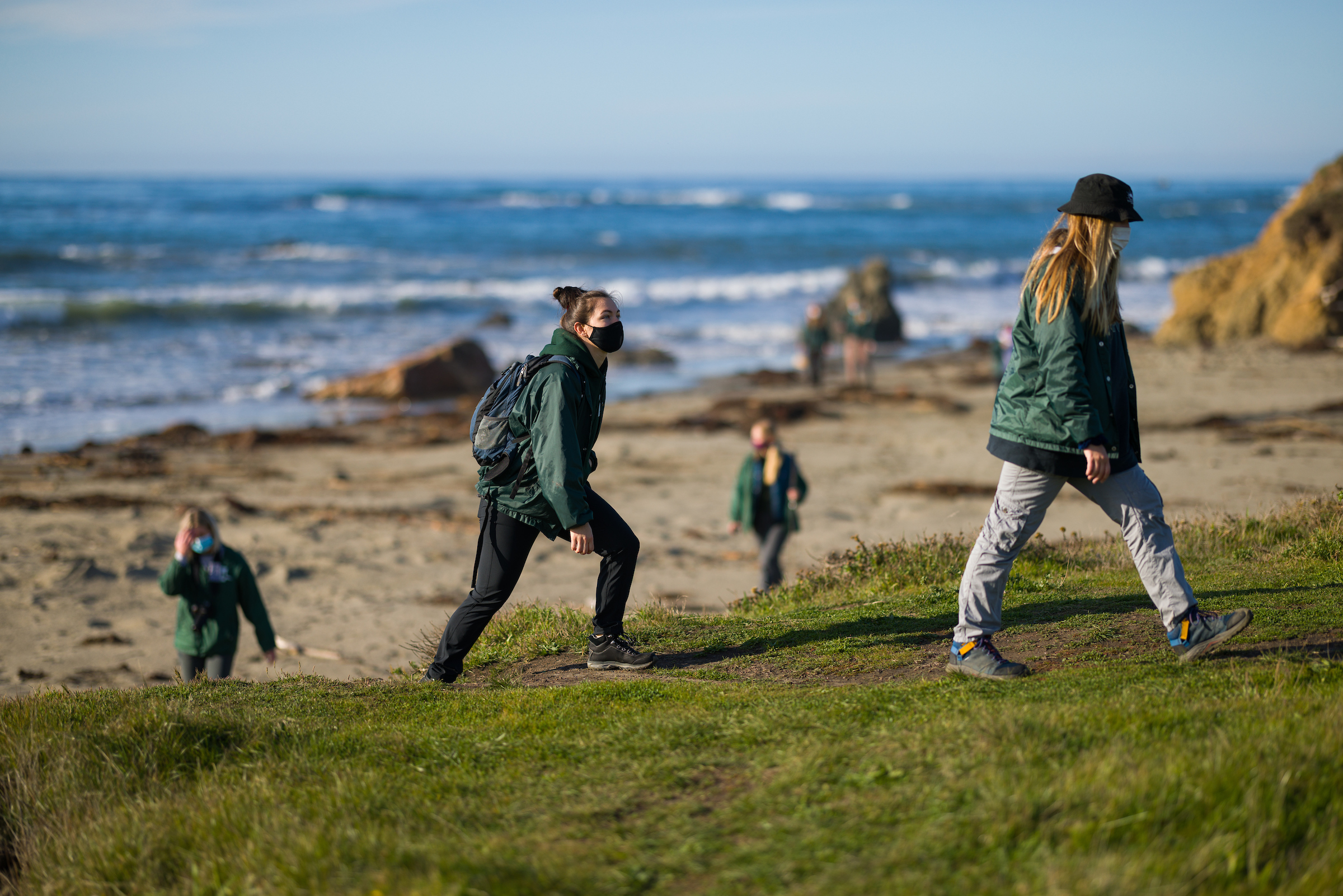 Student researchers walk up a bluff from one of the beaches that make up the Piedras Blancas rookery. NMFS permit #22187-02
