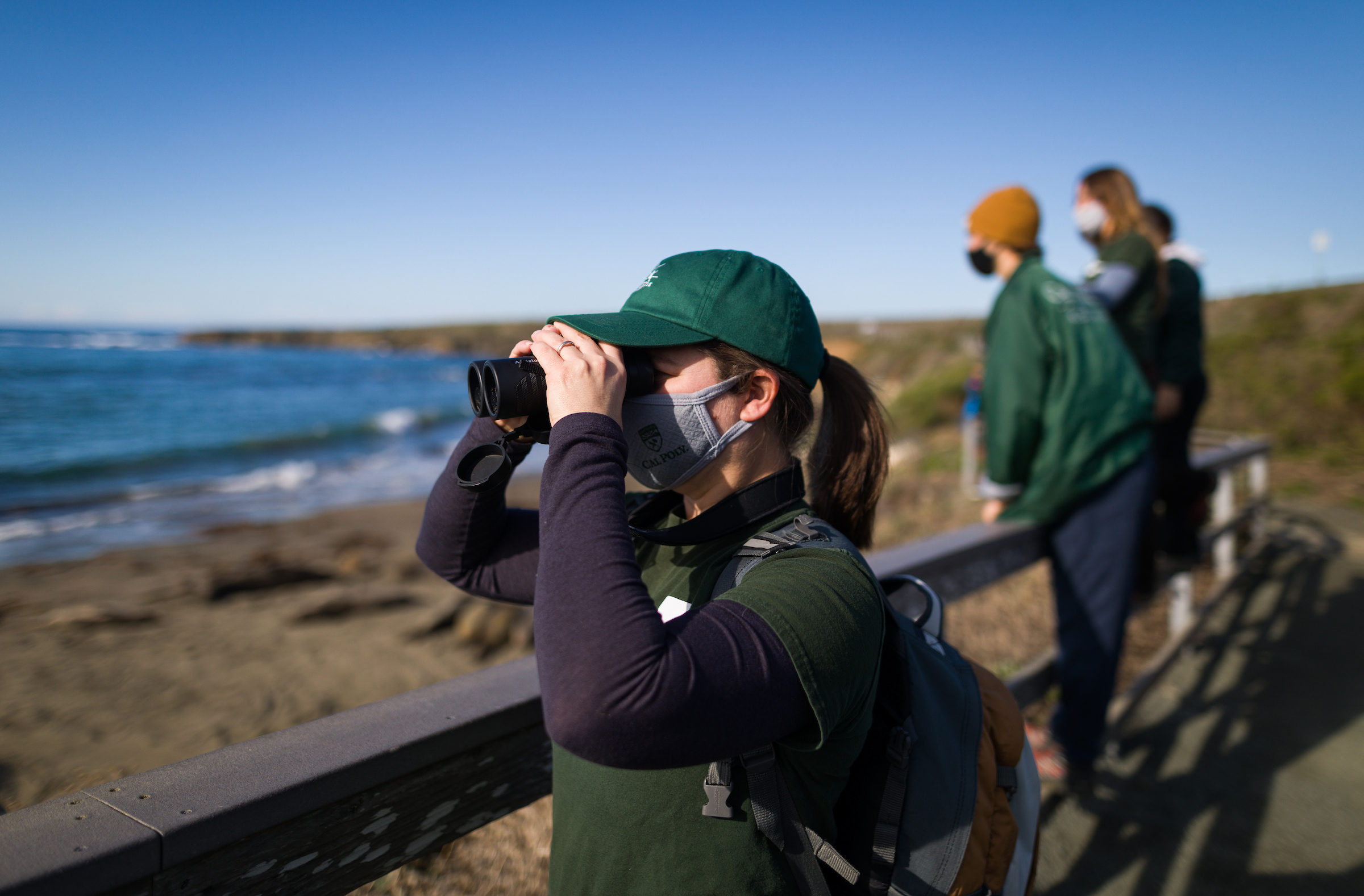 Professor Heather Liwanag uses binoculars to observe elephant seals at the Elephant Seal Vista Point north of Hearst Castle.