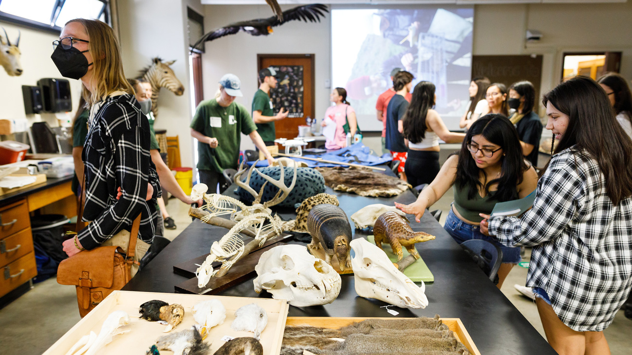 Open House participants toured campus labs, including this biology lab with a variety of skeletal and preserved specimens