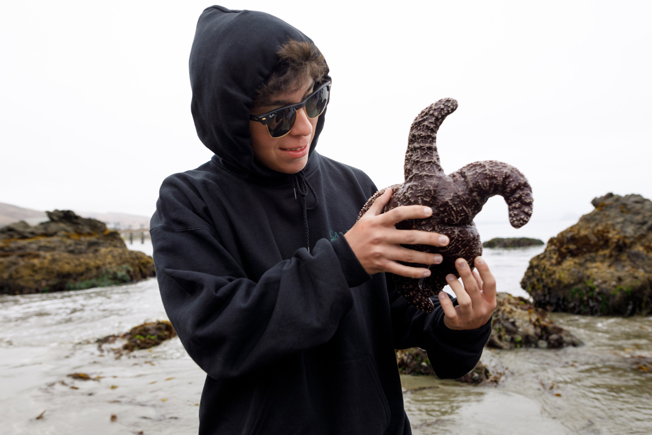 Students observed — and touched — some sea animals at Cayucos tide pools.