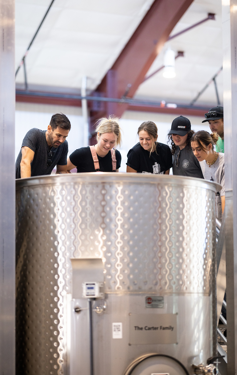 Professor Federico Casassa, far left, and fourth-year wine and viticulture students peer into a fermentation tank at the new wine and viticulture center.