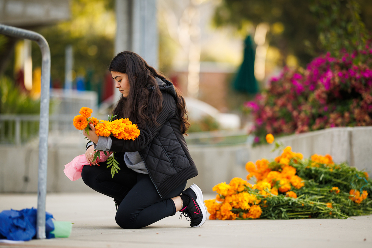 Marigolds, or cempasúchil, have long been a part of Día de los Muertos celebrations, representing a link between the dead and their living loved ones.
