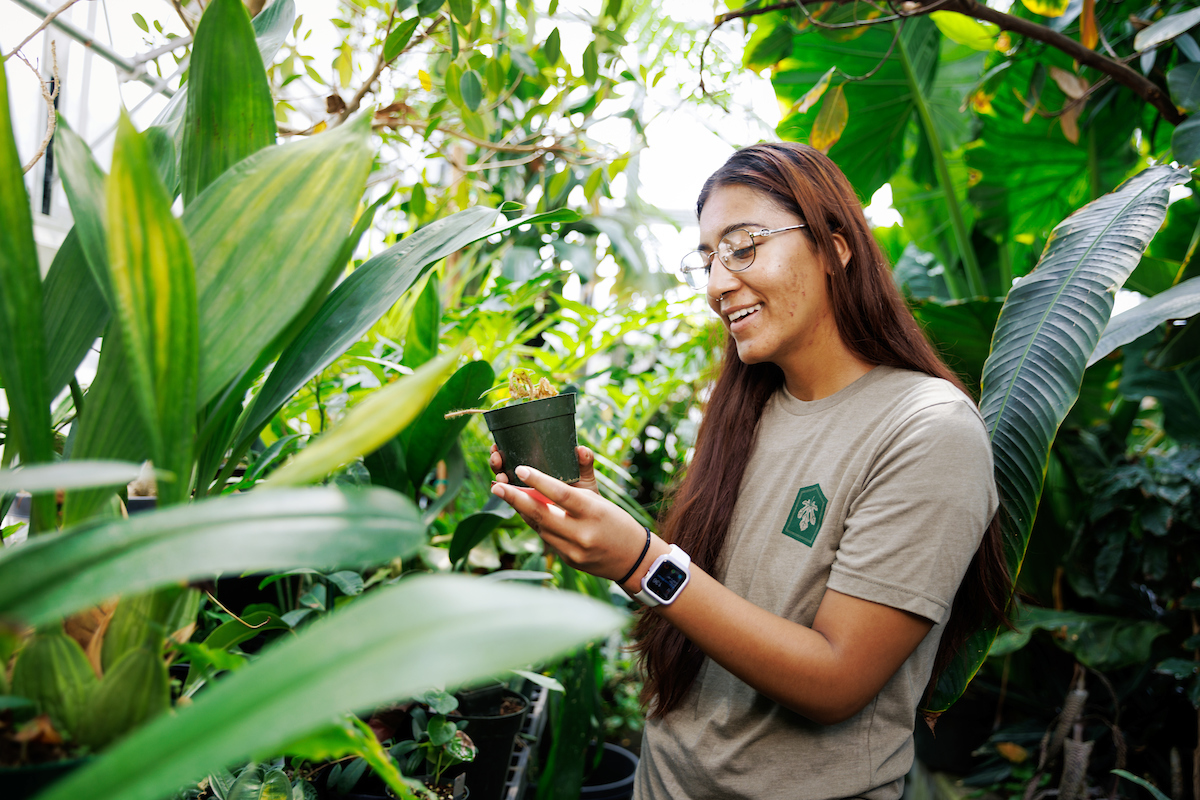 Biological sciences student Monique Alvarez inspects a plant in one of the Cal Poly Plant Conservatory's greenhouses.