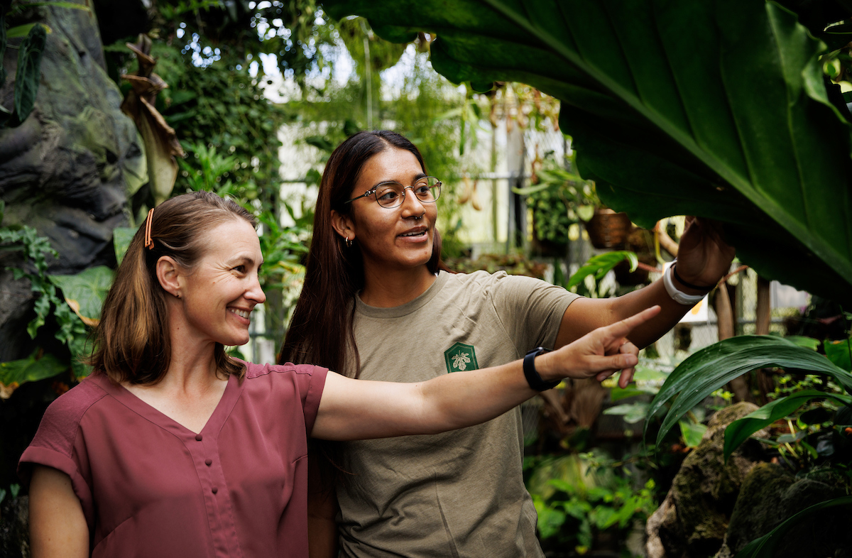 Professor Jenn Yost and biological sciences student Monique Alvarez study plants in one of the greenhouses. The three greenhouses each simulate a different environment: the warm tropics, a cloud forest and a desert.