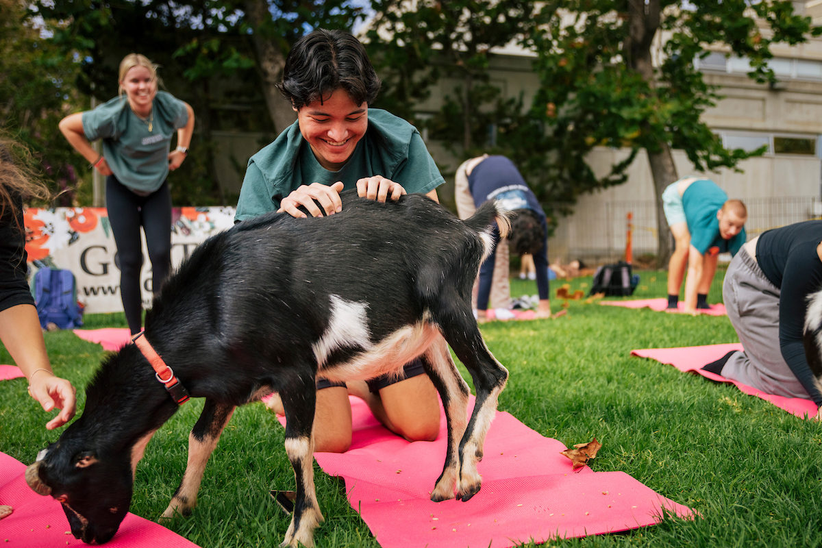 A student smiles and pets a goat during a goat yoga class on Dexter Lawn in October.