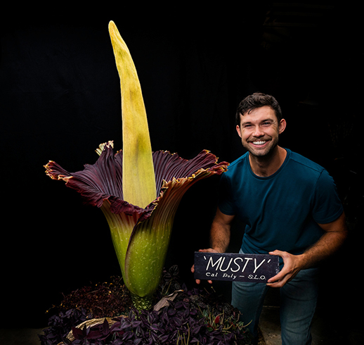 Gage Willey, curator of the Cal Poly Plant Conservatory, poses with the blooming corpse flower. 