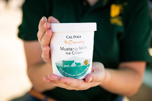 Two hands hold a white pint labeled Mustang Mint ice cream. 