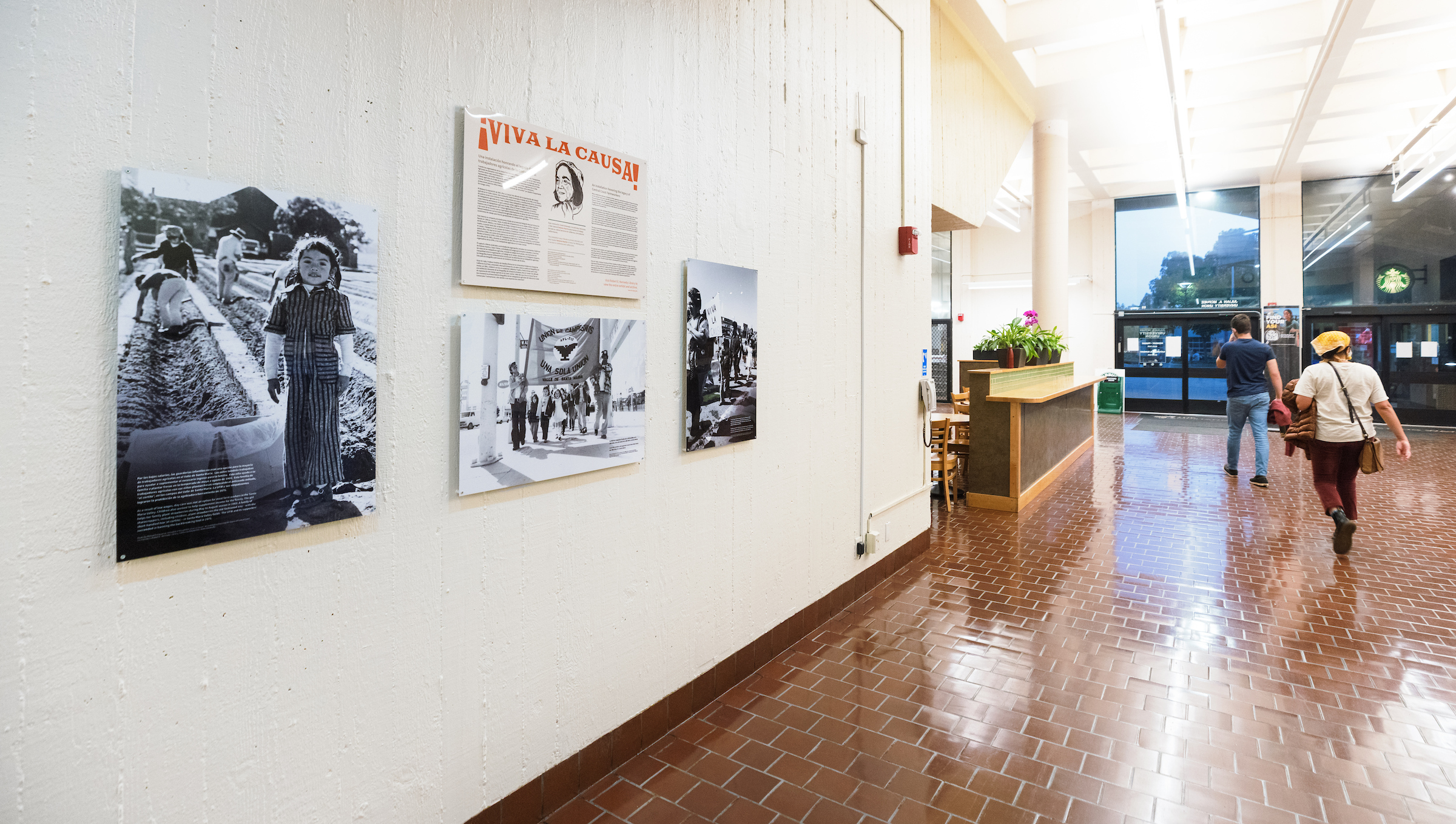 Informational posters about Dolores Huerta on a wall in the University Union.