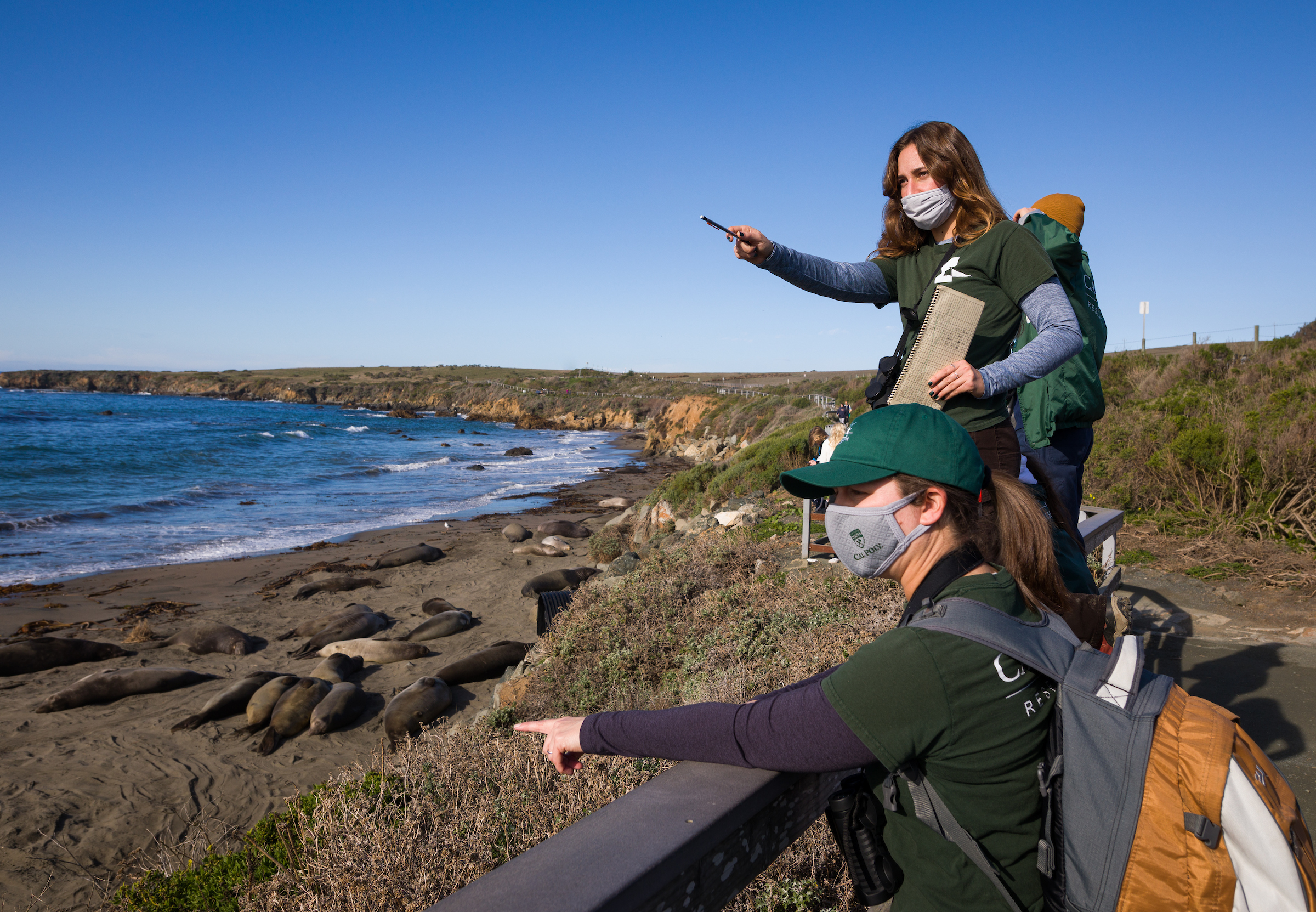 A woman wearing a green Cal Poly shirt stands on a wooden boardwalk and points out at the beach. Other people in the same shirt stand behind her doing the same thing.