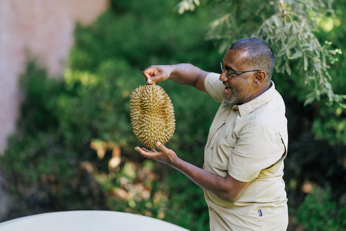 Professor Nishi Rajakaruna holds up a giant, spiky durian fruit as he speaks to his class about it.
