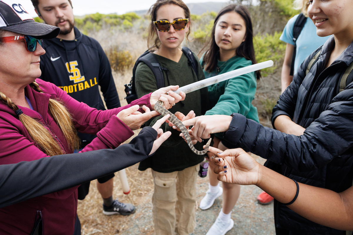 Emily Taylor holds a rattlesnake's tail out for students to touch during a field trip.