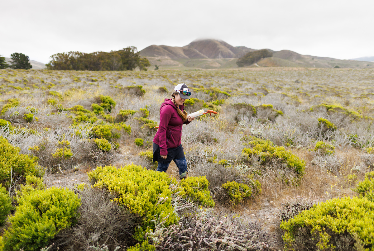 Professor Emily Taylor carries equipment to catch rattlesnakes with as she walks through Montaña de Oro State Park.