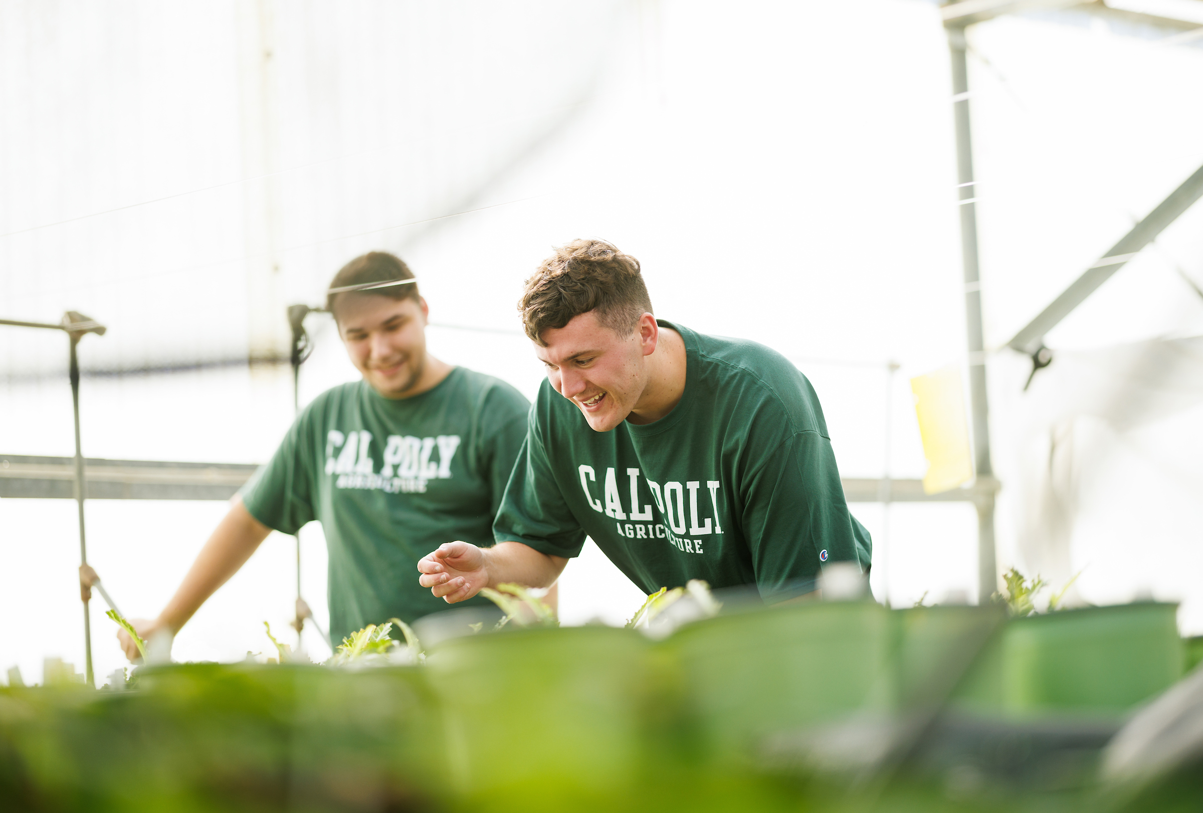 Two students work with organic plants in a greenhouse.