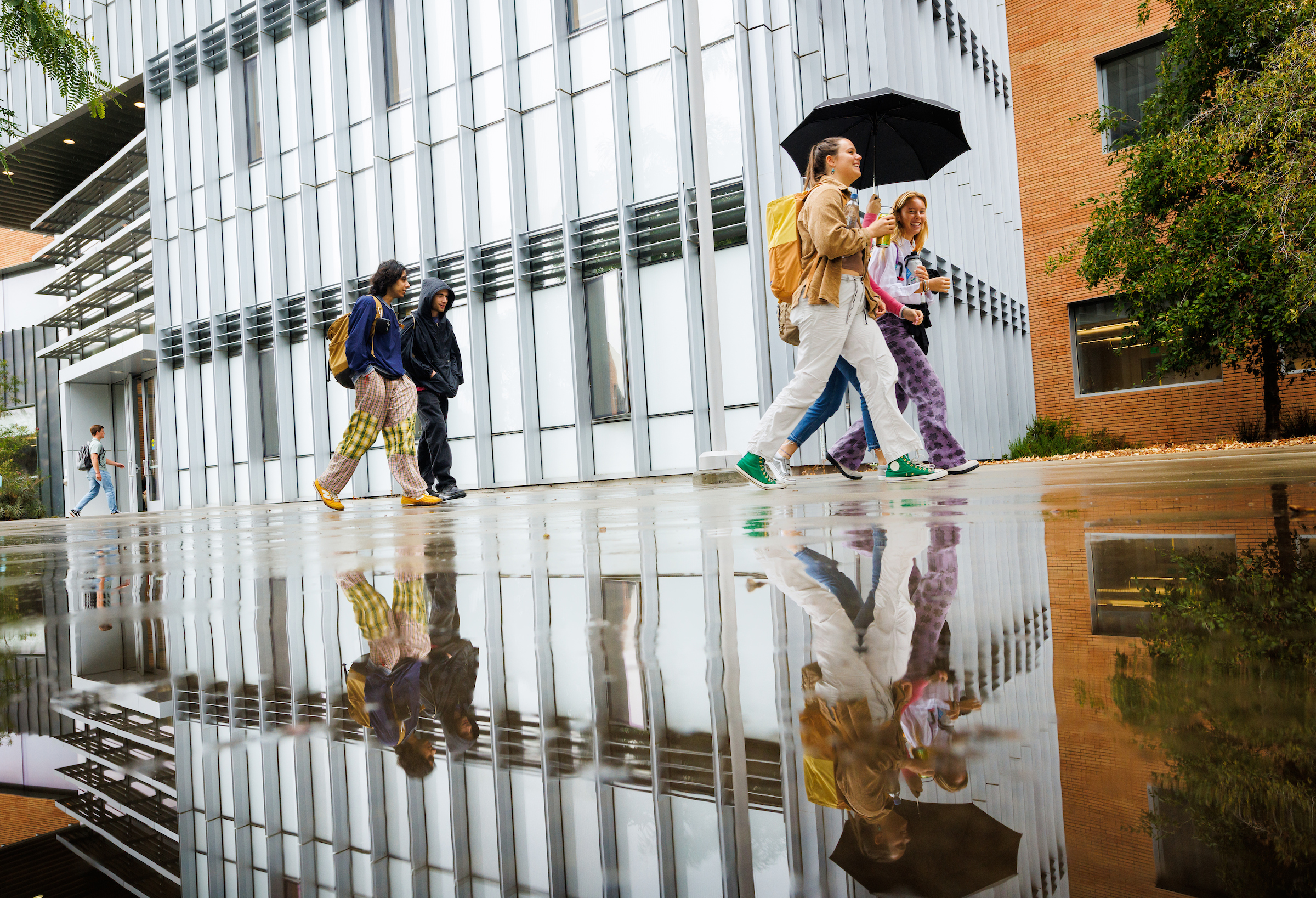Students using umbrellas walk past a large puddle on campus.