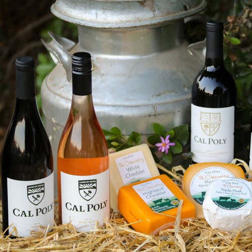 Three bottles of wine with Cal Poly labels appear with four blocks of Cal Poly cheese