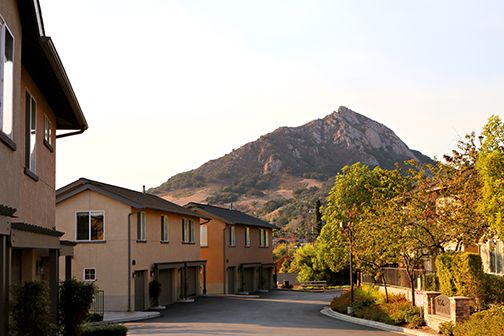 Homes in the Bella Montaña subdivision