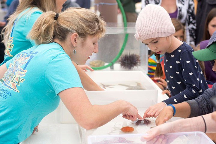 A woman and child touch a sea creature in a touch tank at a past Open House at the Cal Poly Pier.
