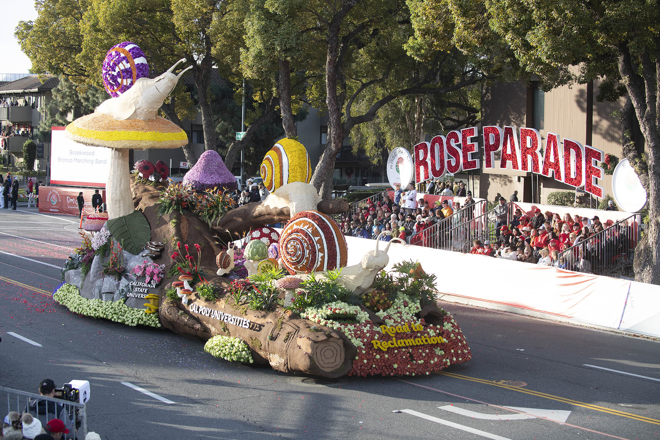 Cal Poly universities' float at the Rose Parade on Jan. 2, 2023.