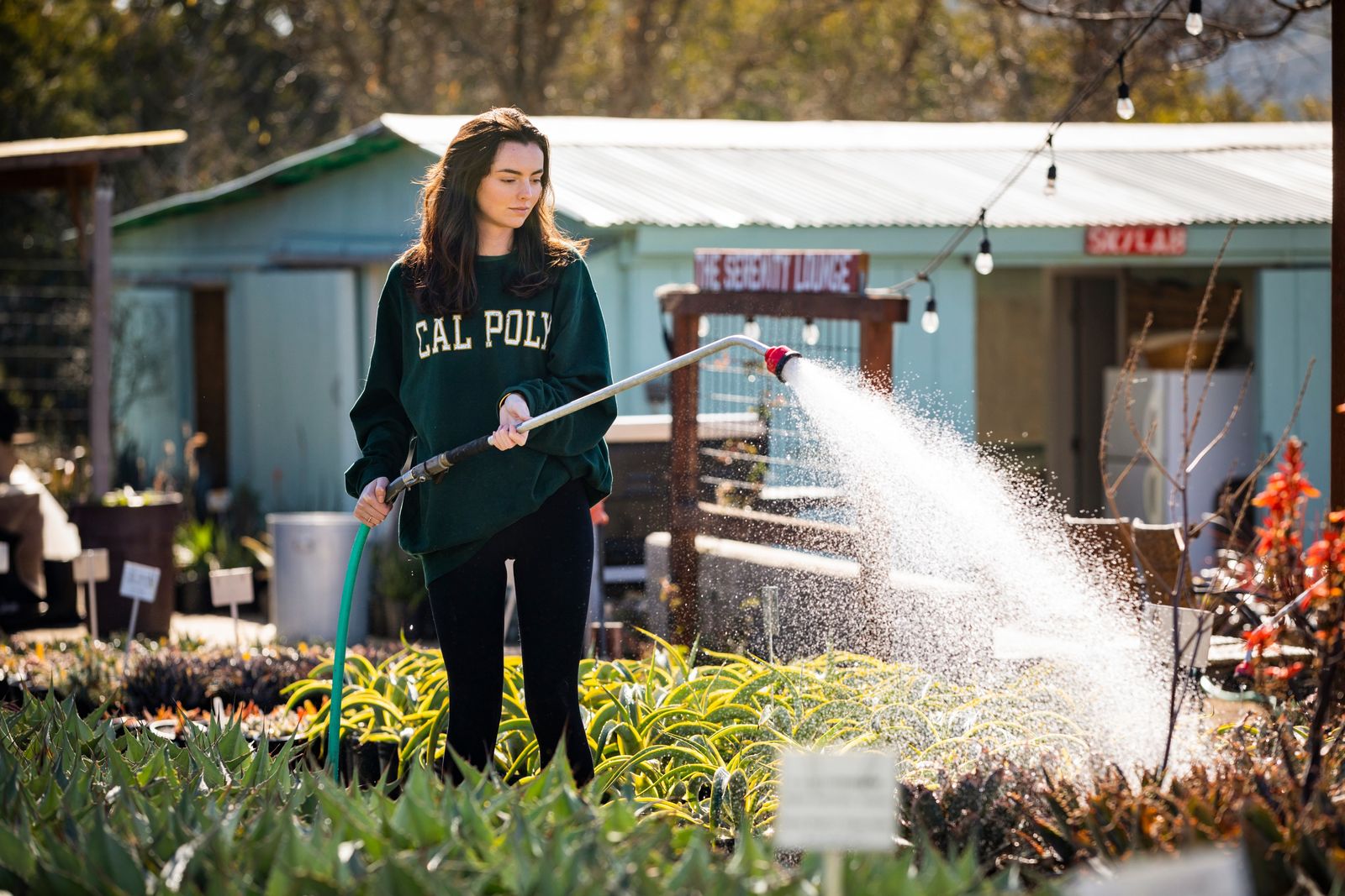 Growing Grounds frequently serves as a service-learning site for Cal Poly students.