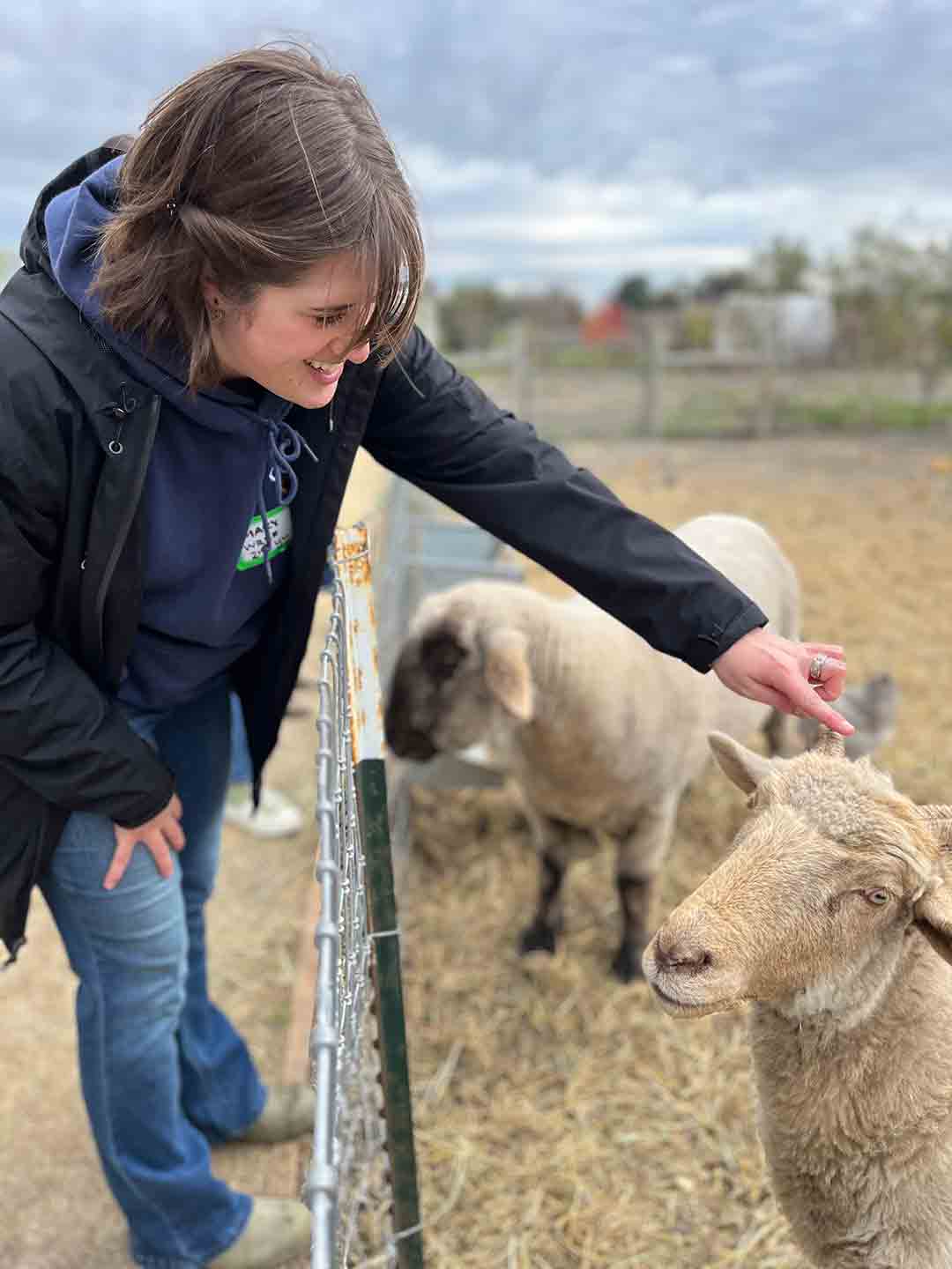 College Corps fellow Mary Norman pets a sheep at the SLO City Farm.