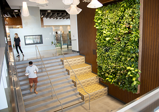 A student walks down the stairs holding food in front of a large wall covered in plants