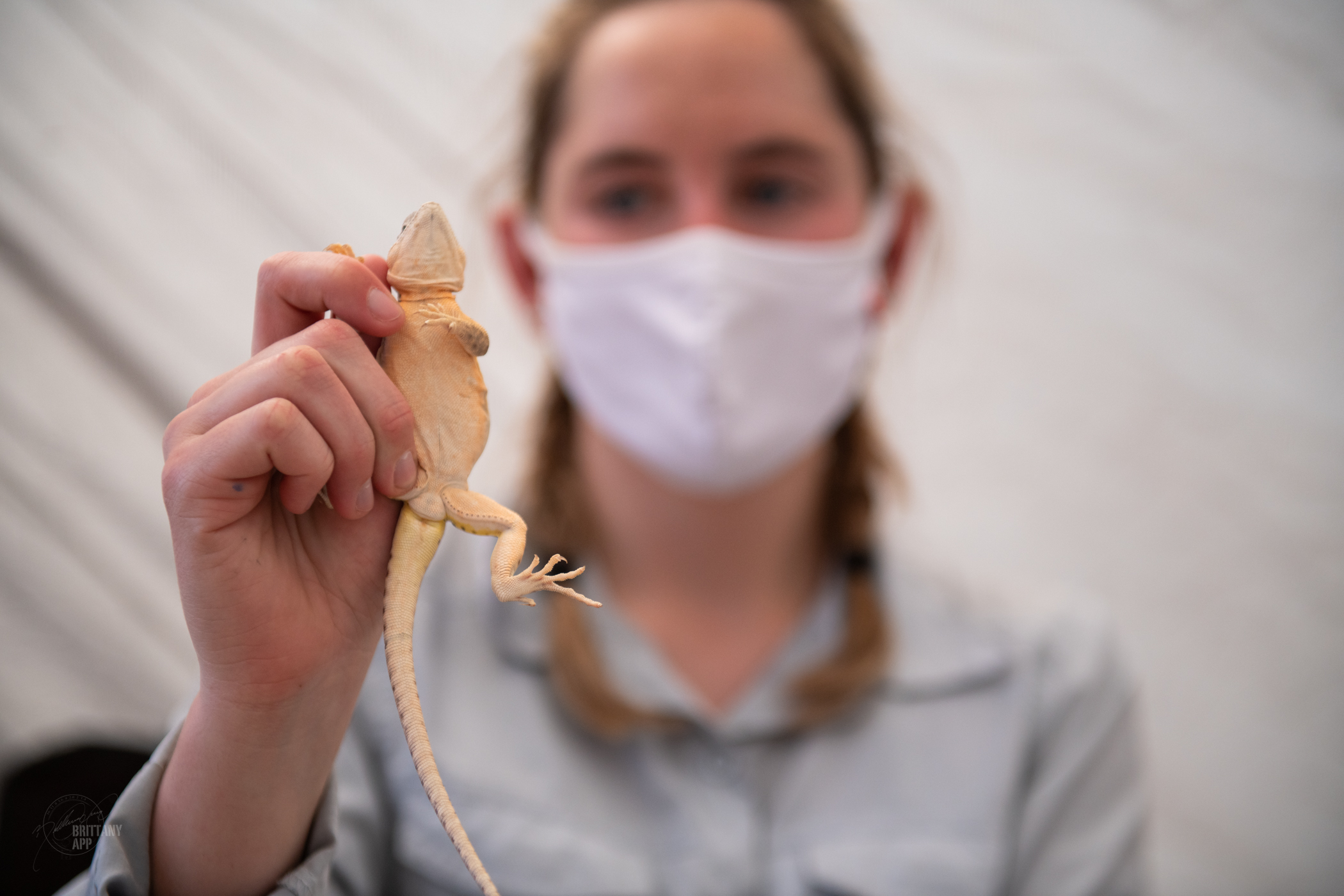 A woman wearing a mask holds up a lizard.