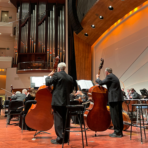 A picture shot from behind two men holding their cellos. The big organ can be seen above them