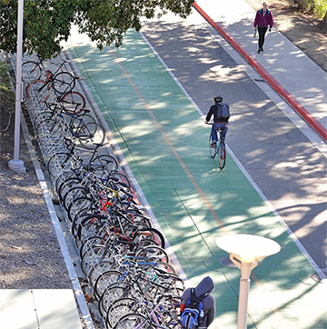A student bikes to on a designated green bike lane at Cal Poly