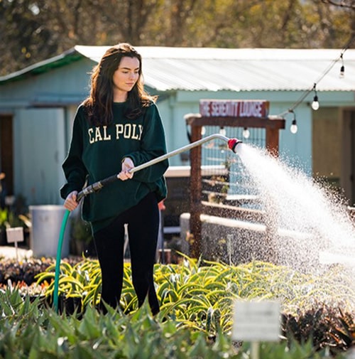 A Cal Poly student waters plants at the Growing Grounds Nursery a nonprofit wholesale nursery in San Luis Obispo