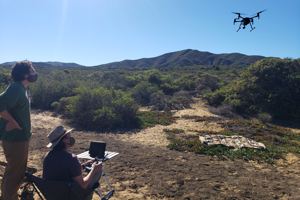 Two researchers fly a drone above a coastal habitat