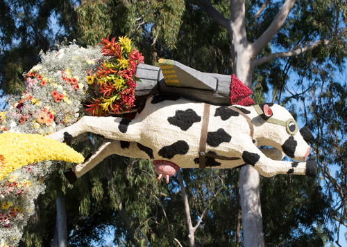 A portion of the Cal Poly Rose Float featuring a cow wearing googles and a jet pack
