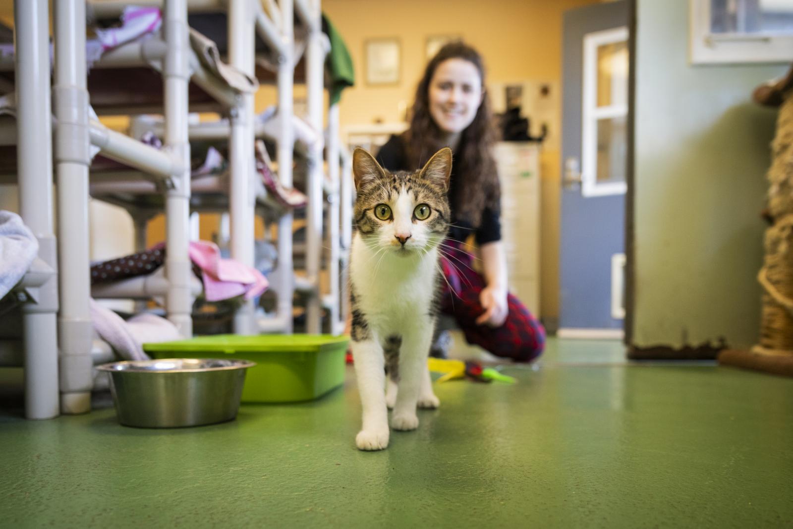 Cal Poly Kitties Students Keep the Cal Poly Cat Program Running with