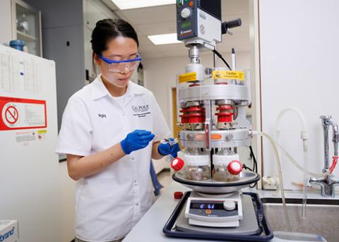 Graduate student Ningjing Hua works with olive pomace in the laboratory