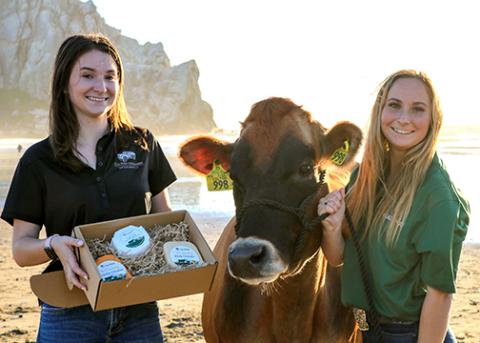 One female student holds a selection of cheeses while another holds the halter of a brown Swiss dairy cow