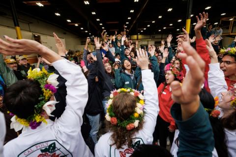 Cal Poly universities Rose Float students celebrate in the Pasadena decoration barn the day before the 2024 Rose Parade
