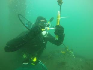 A Cal Poly mechanical engineering student wearing scuba gear adjusts a thermistor — an instrument that measures temperature — underwater in Morro Bay.