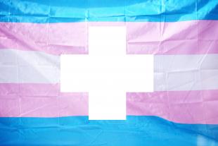 The blue, pink and white banner representing the transgender community, superimposed with a white cross