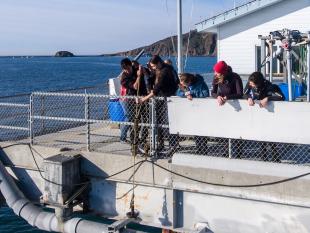 Students conduct research at the Cal Poly Pier.