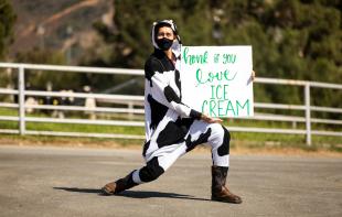 A person wearing a face mask and a cow onesie is down on one knee and holding a sign that says "honk if you love ice cream."