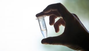 A hand holds a vial of saliva for testing at Cal Poly's new coronavirus testing lab.