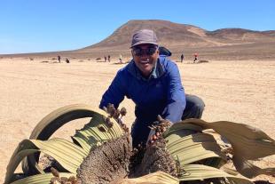 Nishanta ‘Nishi’ Rajakaruna with Welwitschia mirabilis subspecies namibiana in the Namib Desert