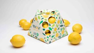 A colorful paper package of lemons
