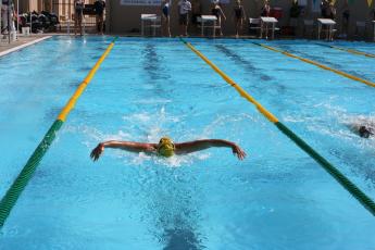 A swimmer swims down a pool lane. 