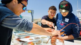 Two high school students observe a lobster in a touch tank at the Cal Poly Pier with a student ambassador