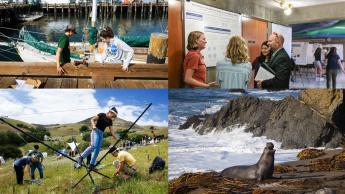 A composite image featuring students at Design Village, a dean chatting with students, students hanging off a pier to inspect a wave and tide sensor and an elephant seal.