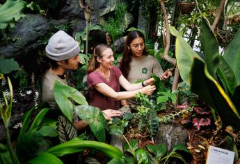 Professor Jenn Yost, center, stands in a greenhouse at the new Plant Conservatory with two other students, looking at tropical plants. 