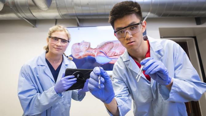 Two students working in the cadaver lab